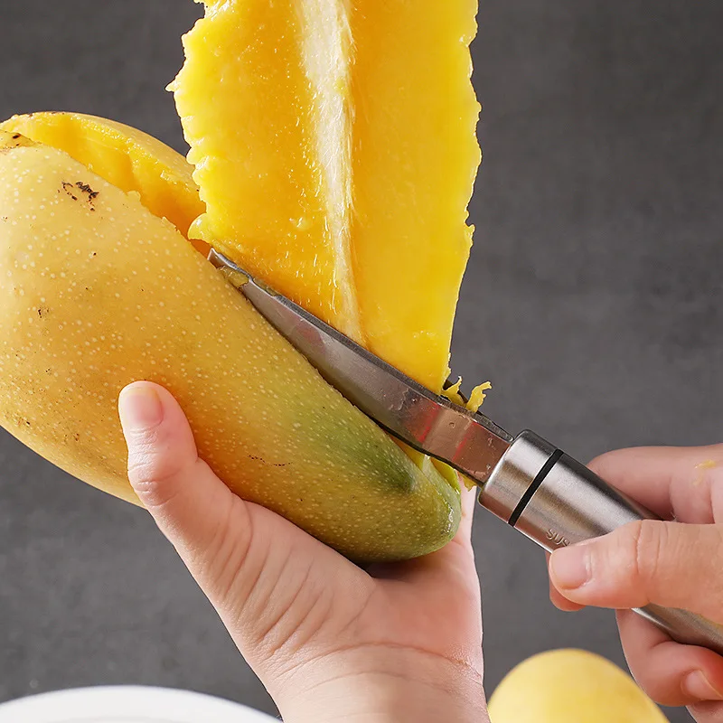 Mango Slicer dunschiller Mango - Mango Splitter Tool recensie en prijs